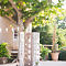 marionhphotography-ValetXav-PREVIEW-WEB-93.jpg