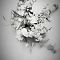 marionhphotography-ClaireMaxime-WEDDING-5sept2015-WEB-50-2.jpg