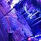 IMG-3924.jpg